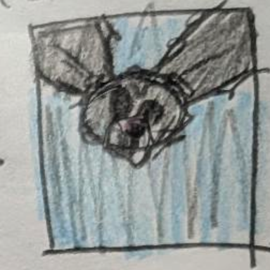 Rabid Rabbit